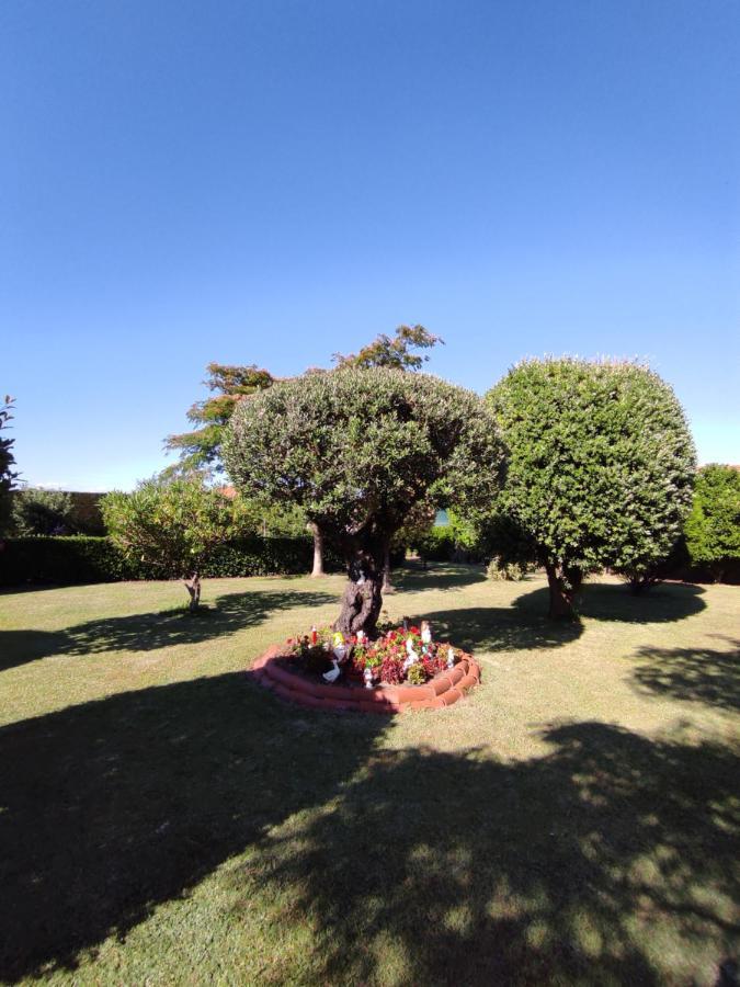 Pension Casa Carmela Playa de la Lanzada エクステリア 写真